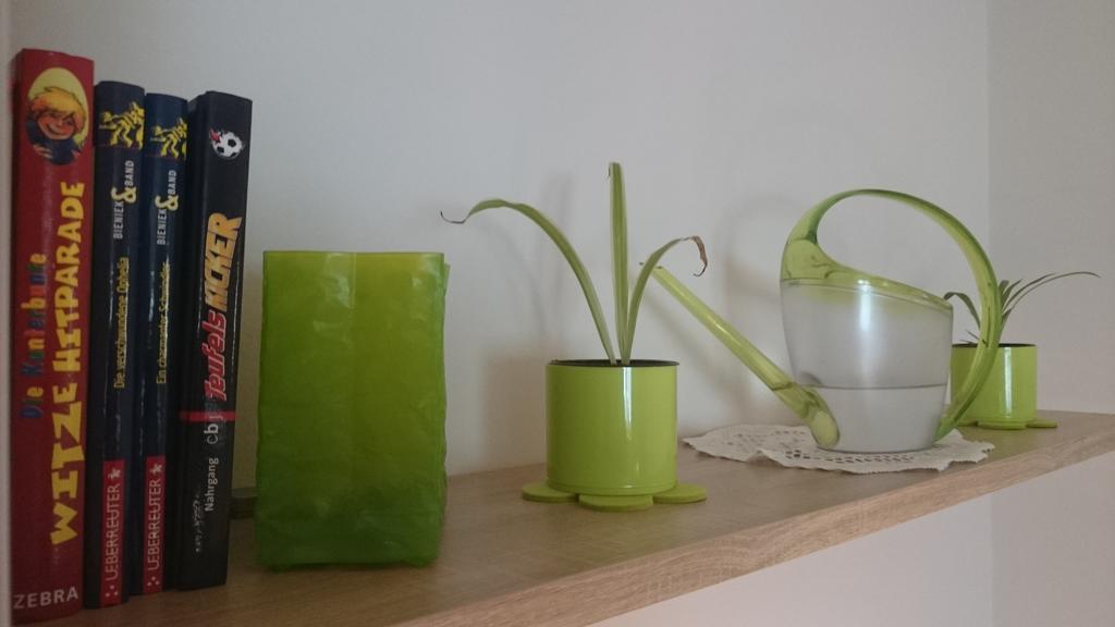 Crosta Brava Apartment Grossdubrau ภายนอก รูปภาพ